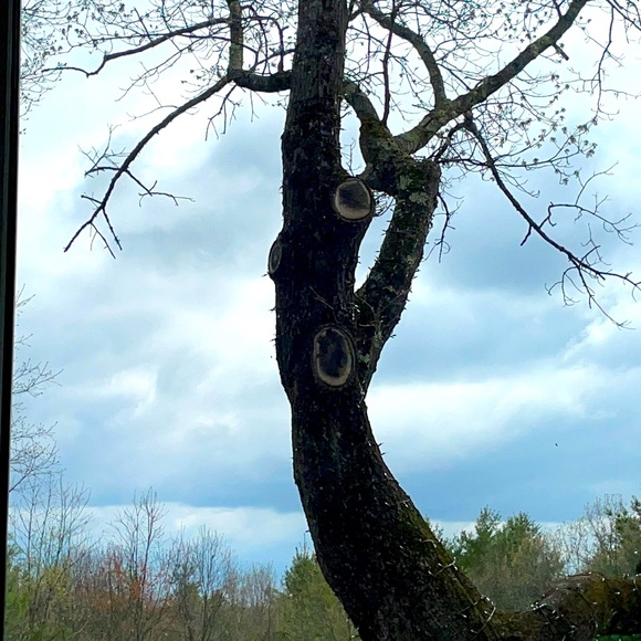 Meet your Posher, Loredana - Picture 1 of 1